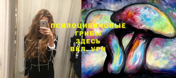 прущий лед Заводоуковск