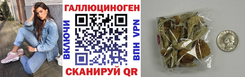 Псилоцибиновые грибы Magic Shrooms  Купить  Дубовка 