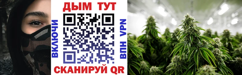 Канабис марихуана  Купить где  Дубовка 